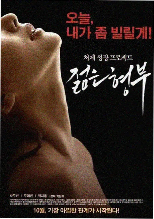 雾港档案 剧集封面